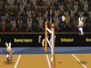BunnyLimpics Volleyball 20