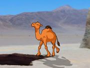 Camel Cave Escape