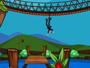 Escape From Suspension Bridge