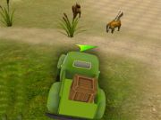 Forest Cargo 3D