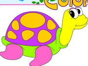 Happy Turtles Coloring