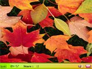 Hidden Stars: Colorful Leaves