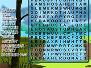 Word Search Gameplay 9